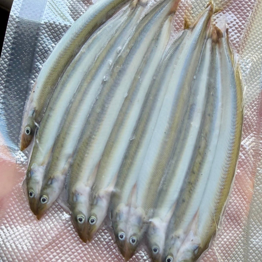 Medium Cornish Sand Eel