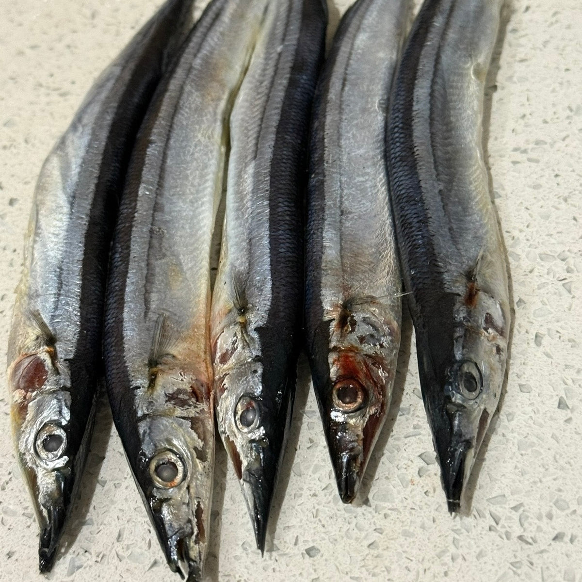 Whole IQF Bluey / Saury