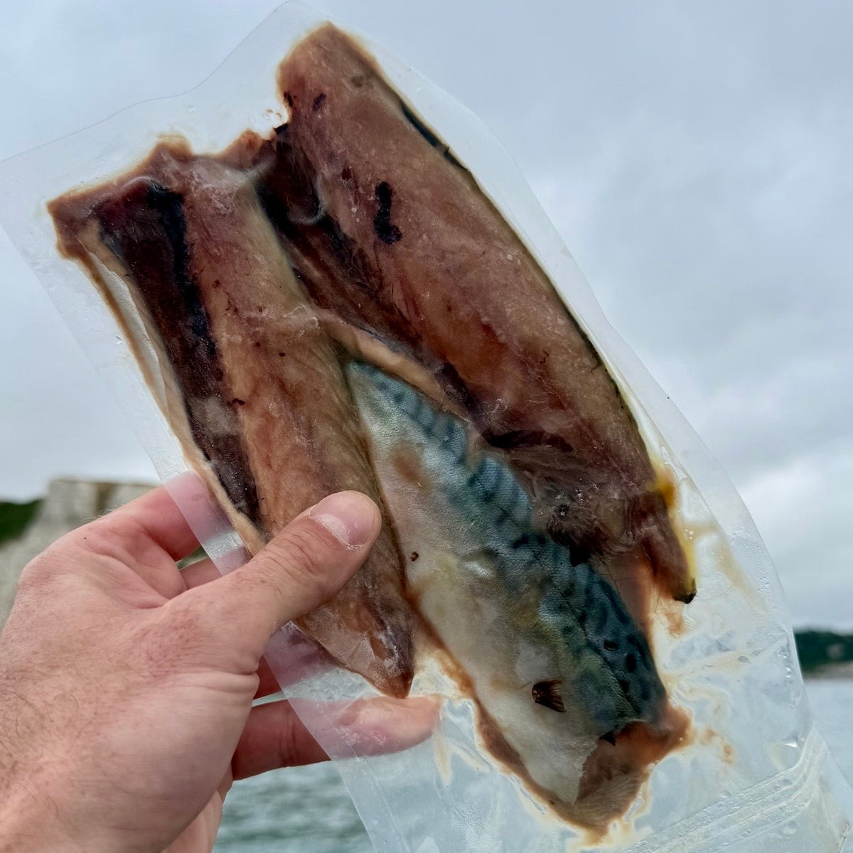 Premium Cornish Mackerel Fillets