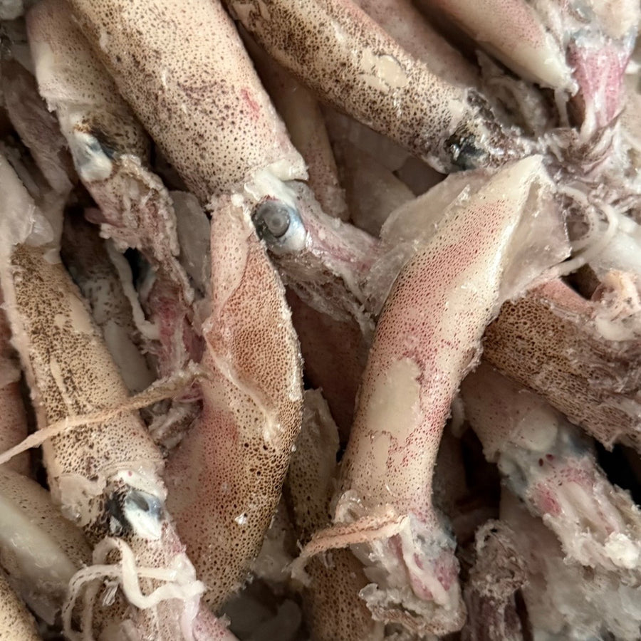 Squid — Unwashed C4