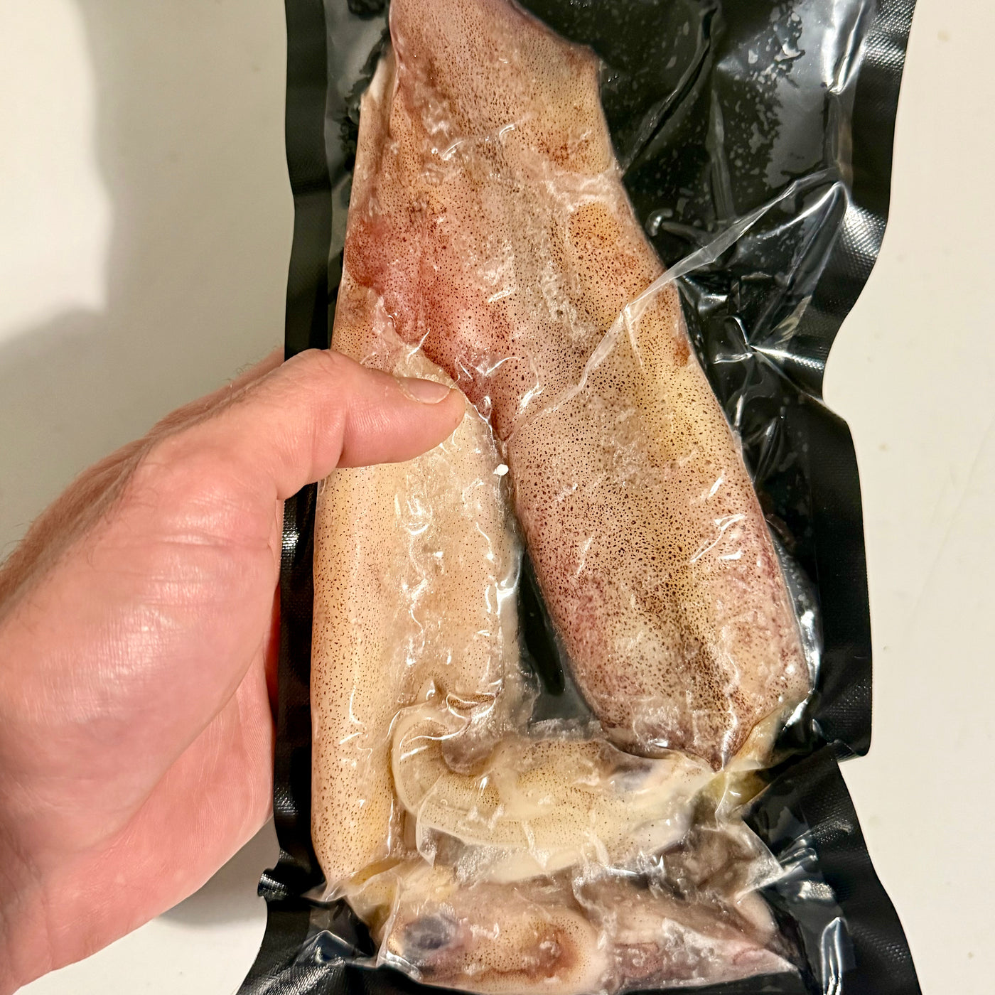 Illex Squid